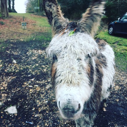 04EFE515-26F5-40F1-8D94-5D91BEC34D97